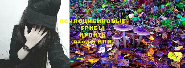 стафф Алексеевка