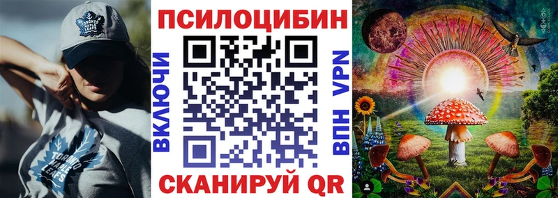 Псилоцибиновые грибы мицелий  что такое наркотик  Кизилюрт 